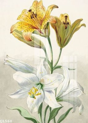 File PSD File gốc in tranh tổng hợp Q1560 (bản gốc) độ phân giải cao