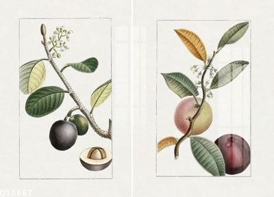 Tải file File gốc in tranh tổng hợp Q15667 (gốc) in ấn ngay lập tức