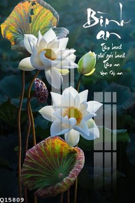 File tranh in mica File gốc in tranh tổng hợp Q15809 (độ phân giải cao)