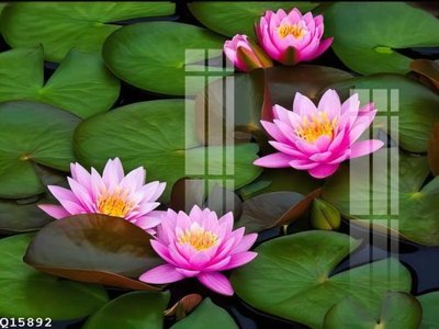 Download file File gốc in tranh tổng hợp Q15892 (gốc) cho xưởng in