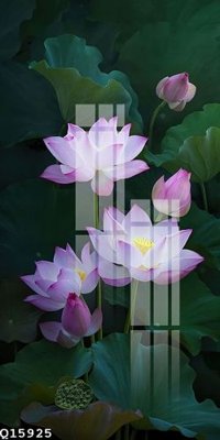 Download file gốc File gốc in tranh tổng hợp Q15925 (in mica) trong suốt