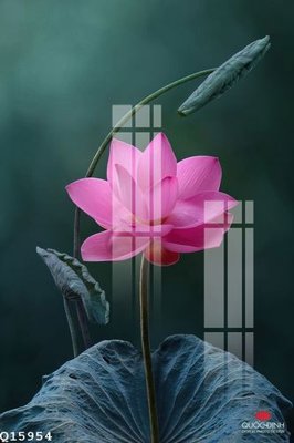 File in trần File gốc in tranh tổng hợp Q15954 (file gốc) chủ đề vũ trụ