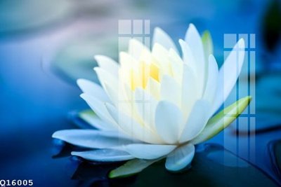 Tải file gốc File gốc in tranh tổng hợp Q16005 (in bạt) quảng cáo