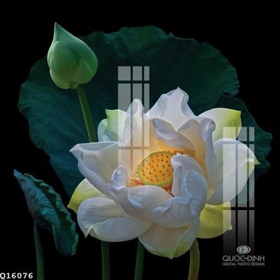 Tải file File gốc in tranh tổng hợp Q16076 (ảnh gốc) in tranh kính