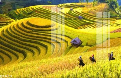 File tranh File gốc in tranh tổng hợp Q1633 (gốc) chủ đề trừu tượng