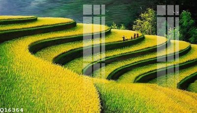 File tranh File gốc in tranh tổng hợp Q16364 (gốc) chủ đề tĩnh vật