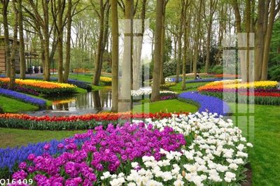 Tải file gốc File gốc in tranh tổng hợp Q16409 (in tráng gương) 3DFile gốc File gốc in tranh tổng hợp Q16409 (sẵn sàng in) chất lượng cao