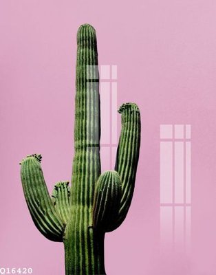 File in trần File gốc in tranh tổng hợp Q16420 (file gốc) xuyên sáng