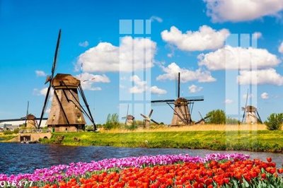 Cung cấp file tranh gốc File gốc in tranh tổng hợp Q16477 độc quyền