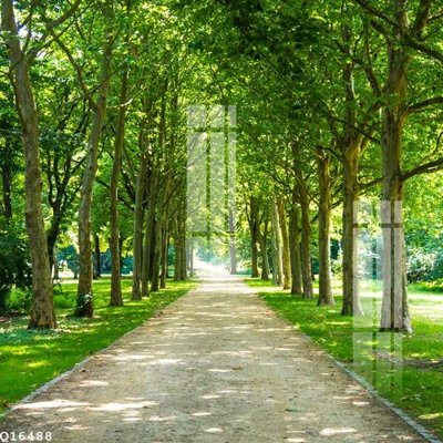 File gốc File gốc in tranh tổng hợp Q16488 (in tráng gương) nghệ thuật