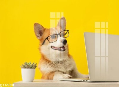 File tranh gốc File gốc in tranh tổng hợp Q16508 (bản đẹp) độc quyền