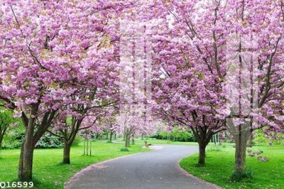 File gốc File gốc in tranh tổng hợp Q16599 (chuẩn màu) cho in offset