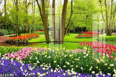 File PSD File gốc in tranh tổng hợp Q16600 (bản gốc) cho nhà in