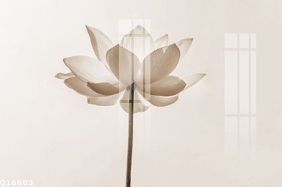 File in trần File gốc in tranh tổng hợp Q16603 (file gốc) phong thủy