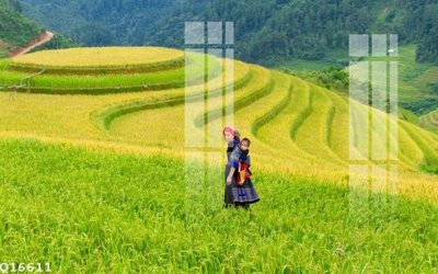 File gốc in ấn File gốc in tranh tổng hợp Q16611 (sẵn sàng tải về)