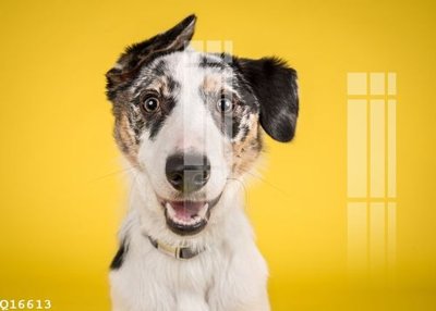 Tải về file gốc File gốc in tranh tổng hợp Q16613 (chuẩn in ấn)