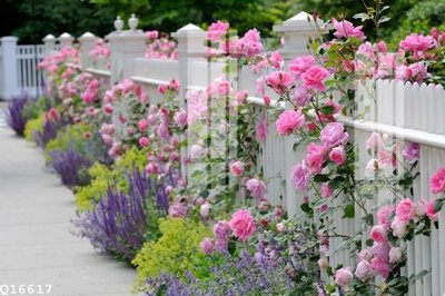 Chi tiết file tranh tráng gương File gốc in tranh tổng hợp Q16617 (ảnh gốc)