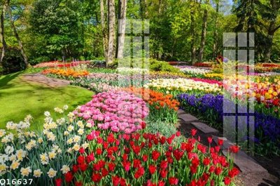 File ảnh File gốc in tranh tổng hợp Q16637 (gốc) in poster