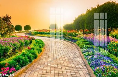 File in mica File gốc in tranh tổng hợp Q16643 (bản gốc) siêu trong