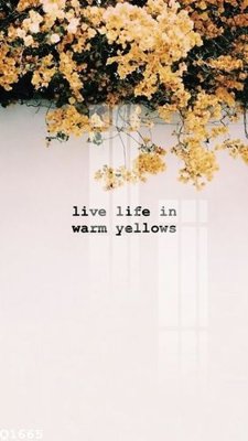 Download file gốc File gốc in tranh tổng hợp Q1665 (in mica) 3D