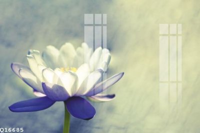 Cung cấp file tranh gốc File gốc in tranh tổng hợp Q16685 độc quyền