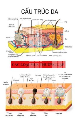 File in lụa File gốc in tranh tổng hợp Q16763 (phong cảnh) File gốc in tranh tổng hợp Q16763