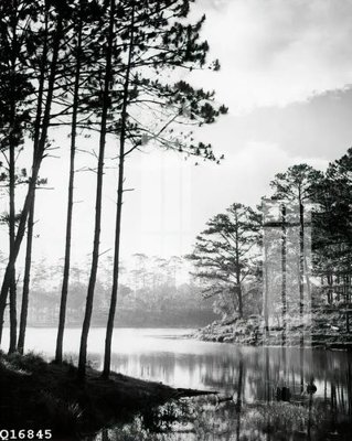 File tranh File gốc in tranh tổng hợp Q16845 (gốc) chủ đề trẻ em