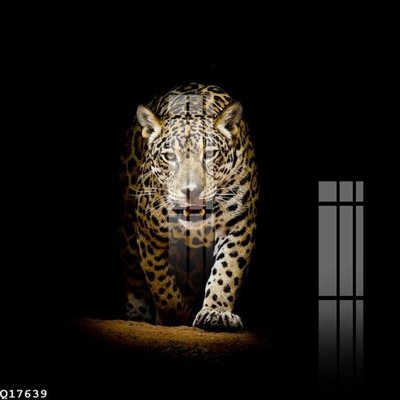 Mua file gốc File gốc in tranh tổng hợp Q17639 (PSD) tại Filetranh.com