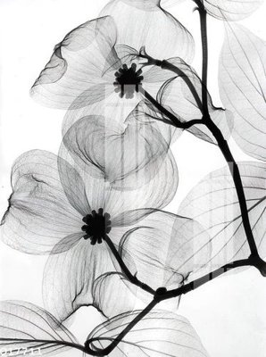 Tải file gốc File gốc in tranh tổng hợp Q17711 (in khổ lớn) không mờ