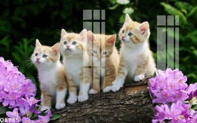 File tranh File gốc in tranh tổng hợp Q1785 (bản gốc) in lụa 5D