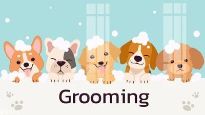 Ảnh gốc File gốc in tranh tổng hợp Q1871 (độ nét cao) in mica