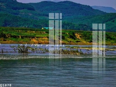 File gốc File gốc in tranh tổng hợp Q1878 (in mica) cắt laser