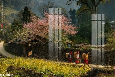 Tải file tranh File gốc in tranh tổng hợp Q18806 (gốc) tại Filetranh.com