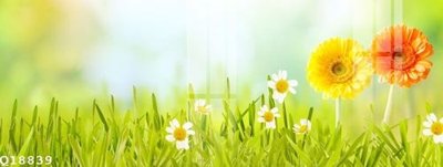 File PSD File gốc in tranh tổng hợp Q18839 (nguyên bản) cho thiết kế