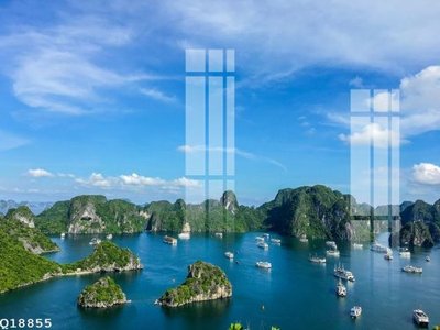 File tranh File gốc in tranh tổng hợp Q18855 (bản gốc) in lụa 5D