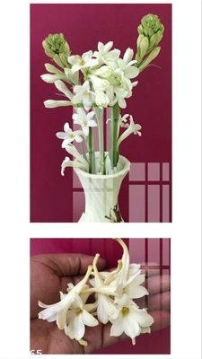 File ảnh File gốc in tranh tổng hợp Q18865 (gốc) cho trang trí nội thất