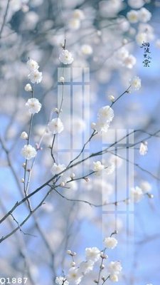 File ảnh gốc File gốc in tranh tổng hợp Q1887 (chuyên in mica)