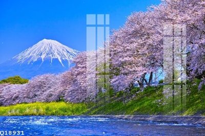 Download file File gốc in tranh tổng hợp Q18931 (gốc) in mica ốp bếp