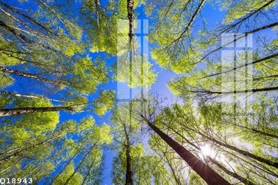 File gốc File gốc in tranh tổng hợp Q18943 (in mica) làm bảng hiệu