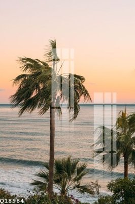 Tải về file tranh gốc File gốc in tranh tổng hợp Q18984 (để in quảng cáo)