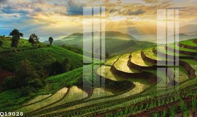 Tải file File gốc in tranh tổng hợp Q19028 (ảnh gốc) in gạch men