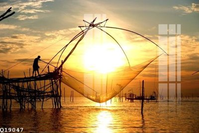 File in mica File gốc in tranh tổng hợp Q19047 (bản gốc) siêu trong