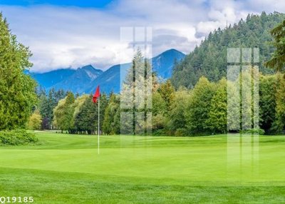 File ảnh File gốc in tranh tổng hợp Q19185 (gốc) in standee