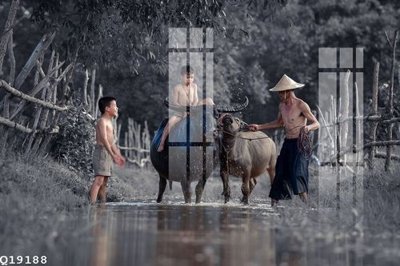 File gốc File gốc in tranh tổng hợp Q19188 (PNG) chất lượng cao