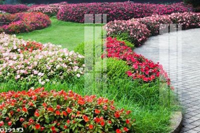 File tranh in tráng gương File gốc in tranh tổng hợp Q19193 (siêu nét)