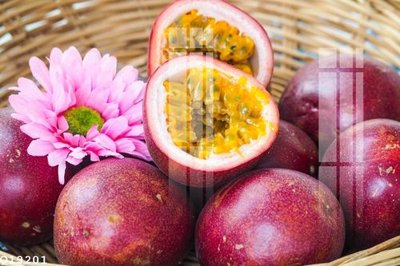 File tranh gốc File gốc in tranh tổng hợp Q19201 (bản quyền) độc đáo