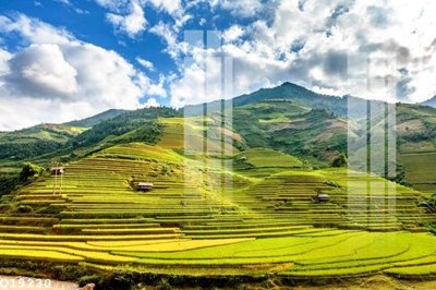 Tải file File gốc in tranh tổng hợp Q19230 (gốc) in ấn chất lượng