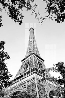 File tranh File gốc in tranh tổng hợp Q19240 (ảnh gốc) chi tiết rõ ràng