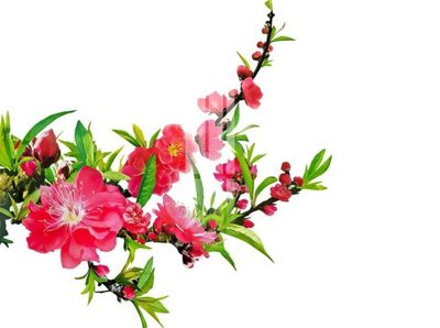 File gốc File gốc in tranh tổng hợp Q19262 (in lụa) trang trí tường