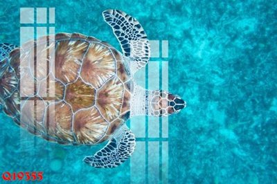 Mua file gốc File gốc in tranh tổng hợp Q19355 (chất lượng) tại Filetranh.com